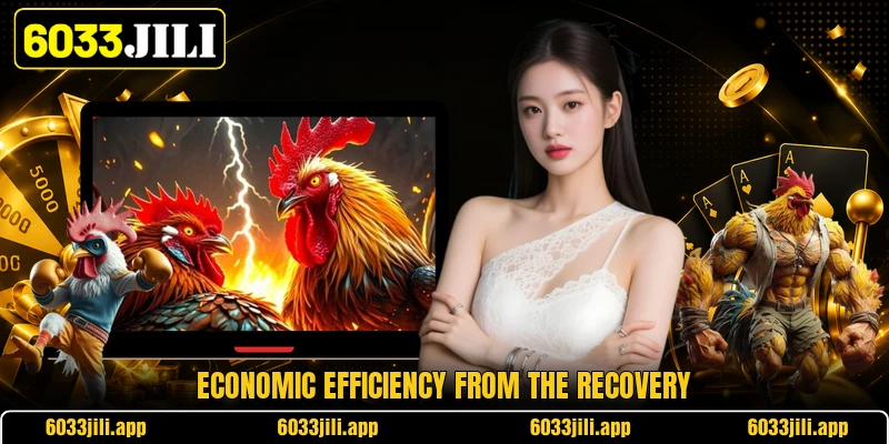 Economic efficiency from the recovery