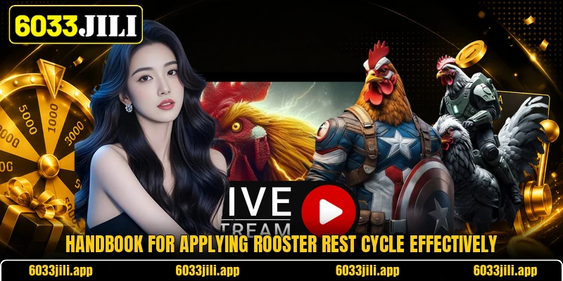 Handbook for applying rooster rest cycle effectively