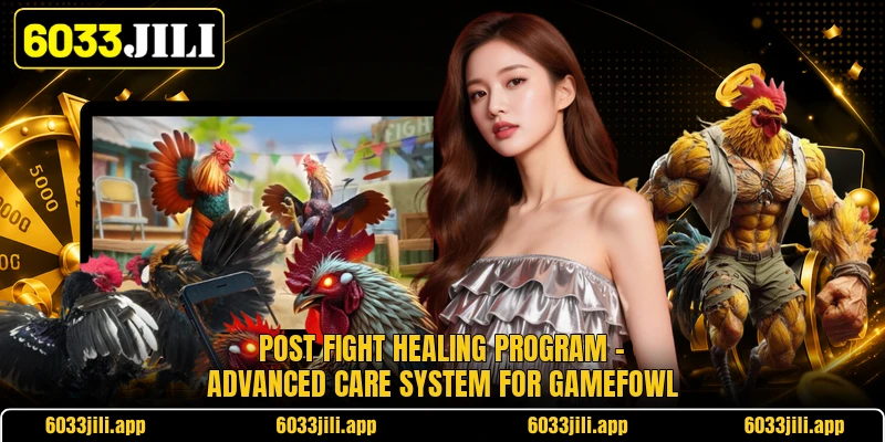 Post Fight Healing Program - Advanced Care System For Gamefowl